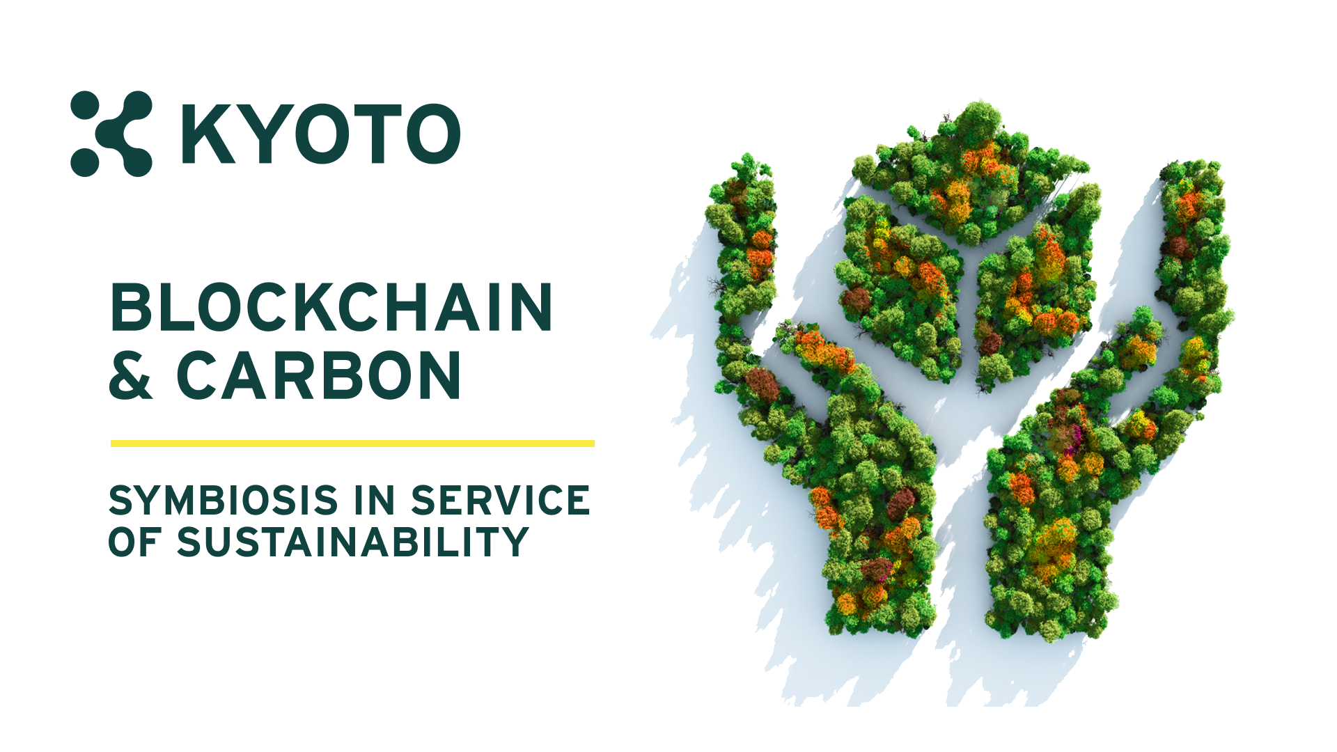 Blockchain and carbon